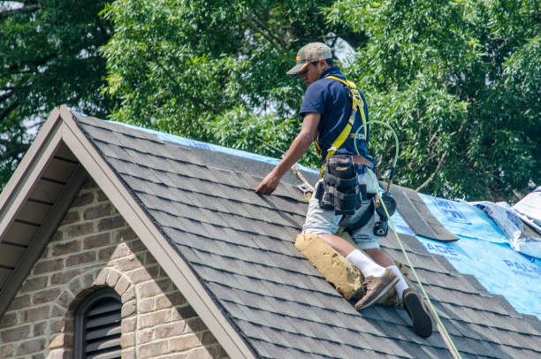 Best Roof Gutter Cleaning  in Spring Lake, NC